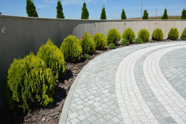 Best Driveway Paving Contractor  in Bloomingdale, IL